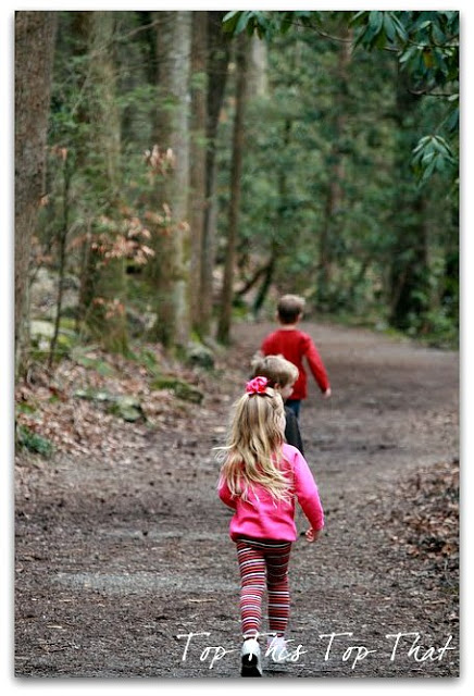 My inspiring nature walk through the Great Smoky Mountains