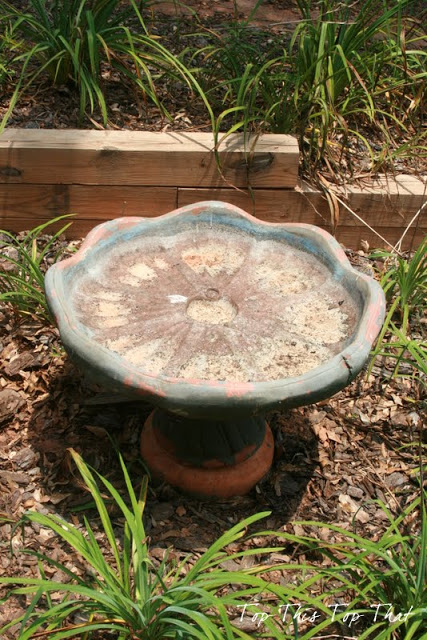 Birdbath Makeover (No more Angry Birds)