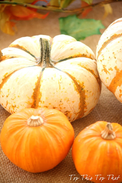 3 Ways to Creatively use mini pumpkins this fall