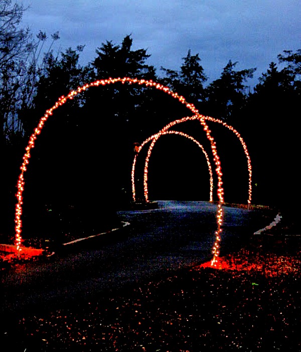 Outdoor Holiday Lighting Ideas