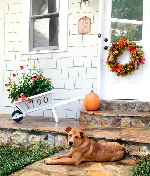 The Beauty Of Fall Colors Around Duke Manor Farm