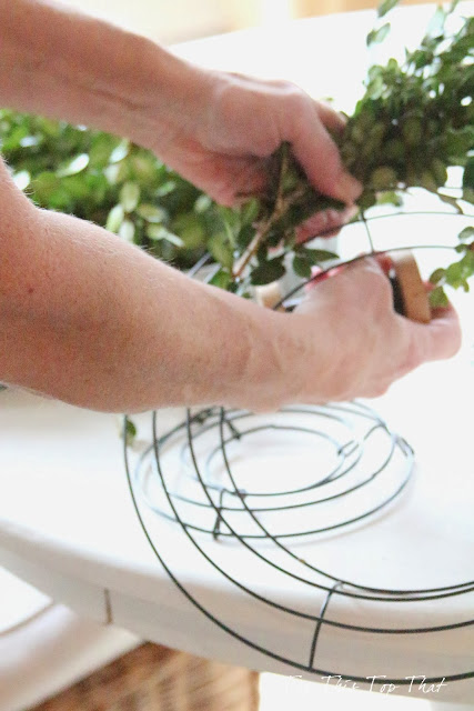 DIY Boxwood Wreath