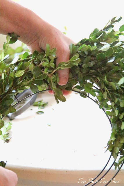 DIY Boxwood Wreath