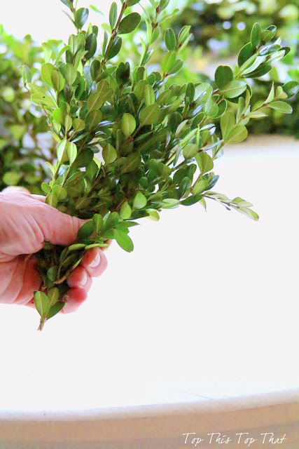 DIY Boxwood Wreath