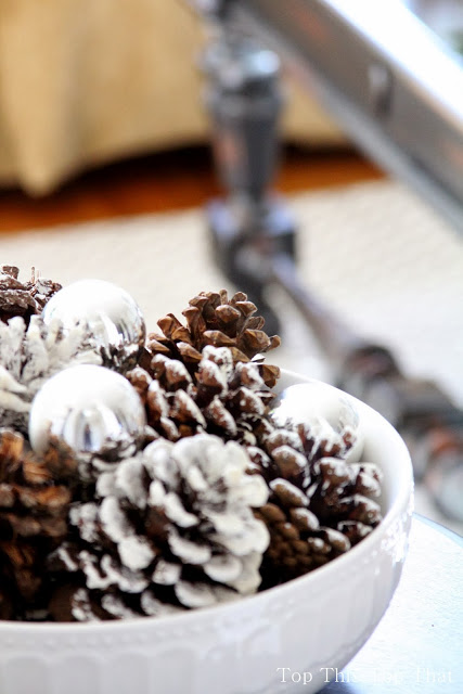 Create Perfectly Flocked Pinecones