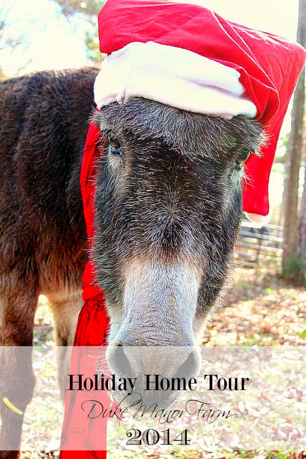 Christmas Home Tour 2014