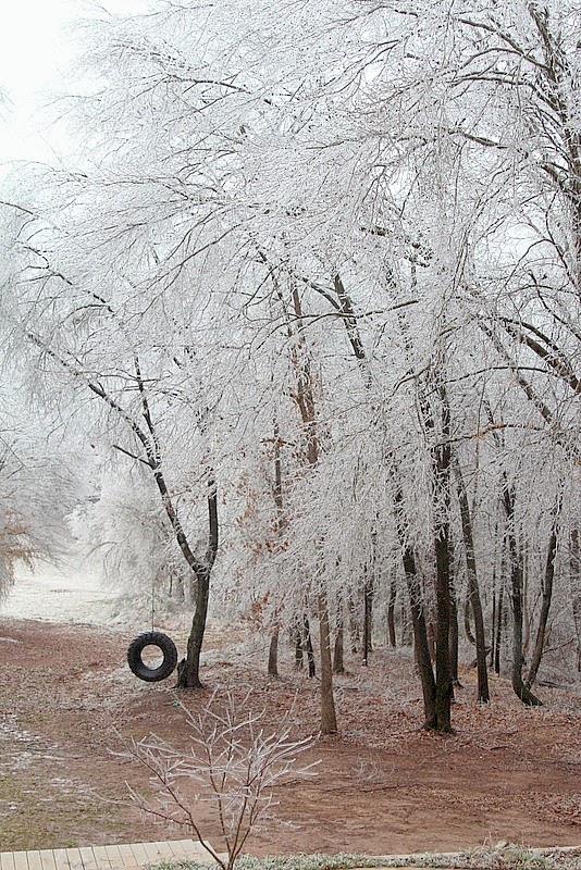 Ice storm in Northeast Georgia