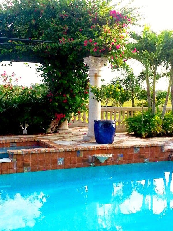 Monday Musings….Beautiful Pool Area, Welcome Home Party, Blooming Flowers