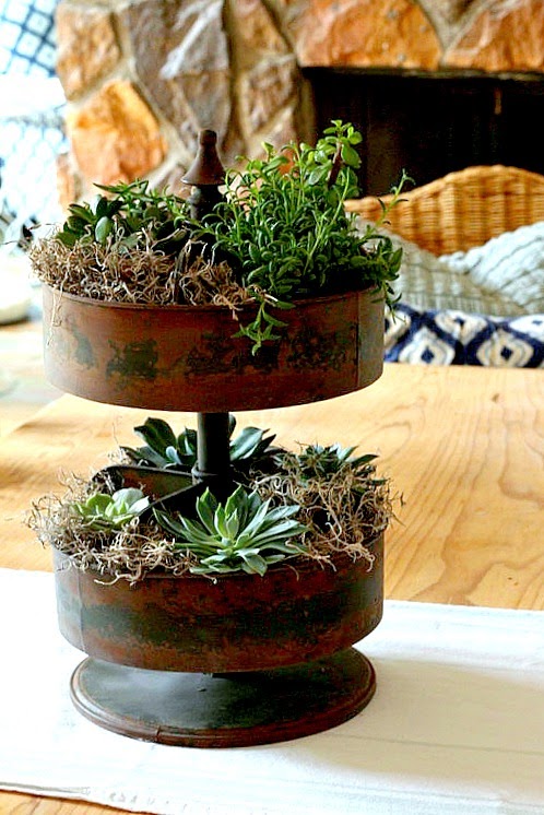 How to create a Spinning Succulent Centerpiece