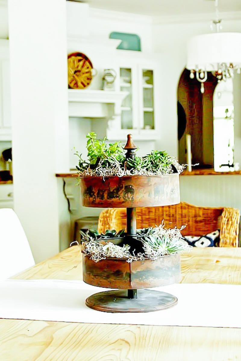 How to create a Spinning Succulent Centerpiece