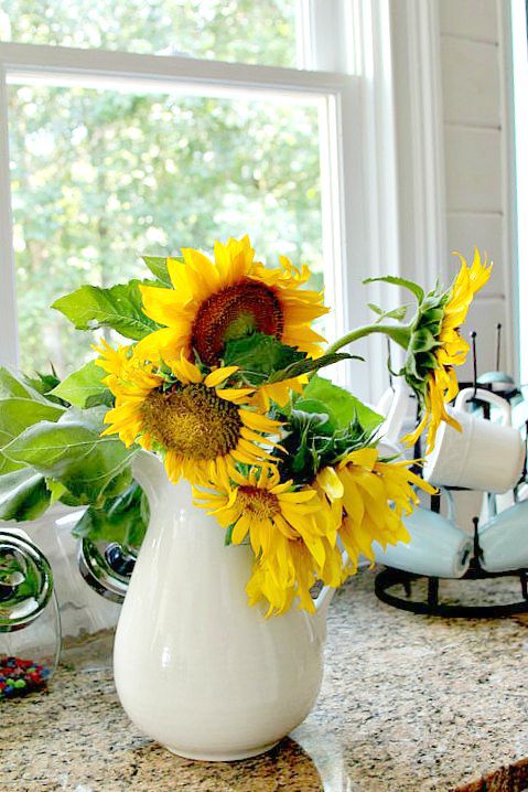 how to cut sunflowers so they last