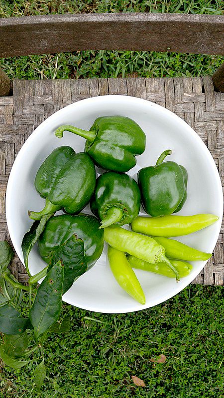 white bowl with peppers