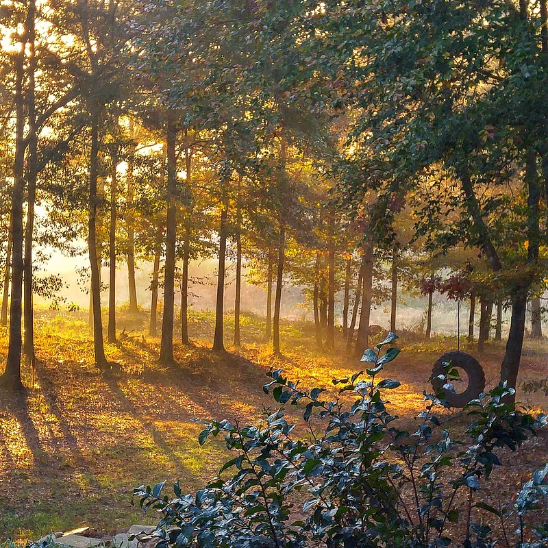 Fall at Duke Manor Farm