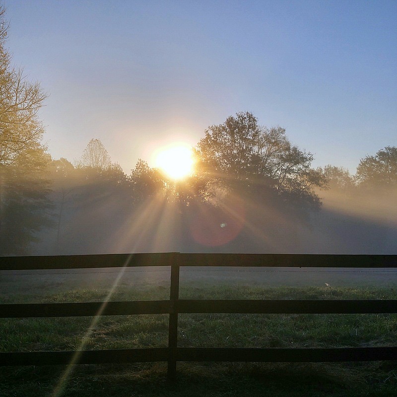 Fall at Duke Manor Farm