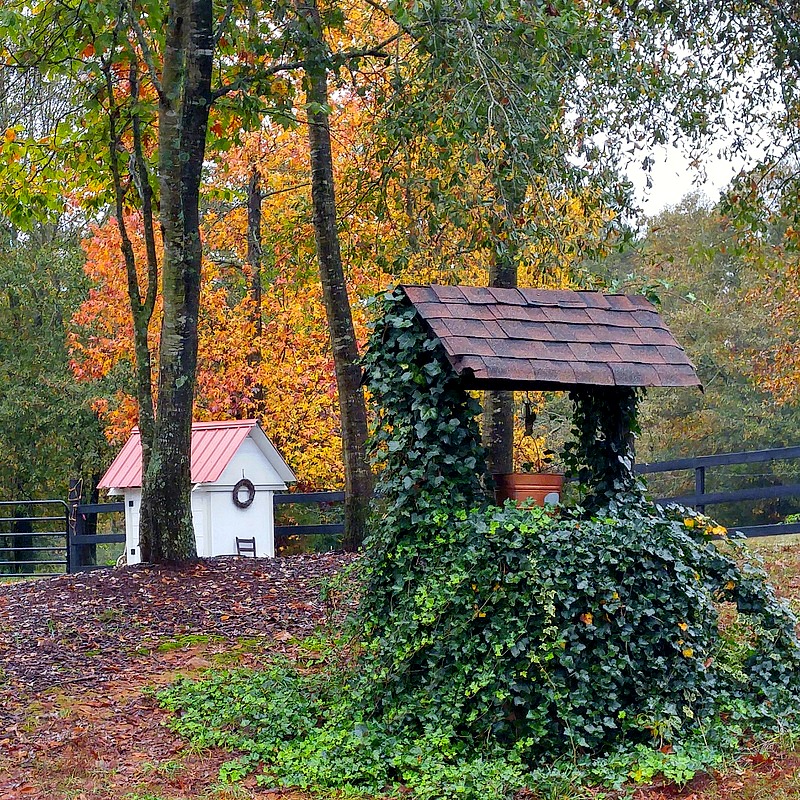 Fall at Duke Manor Farm
