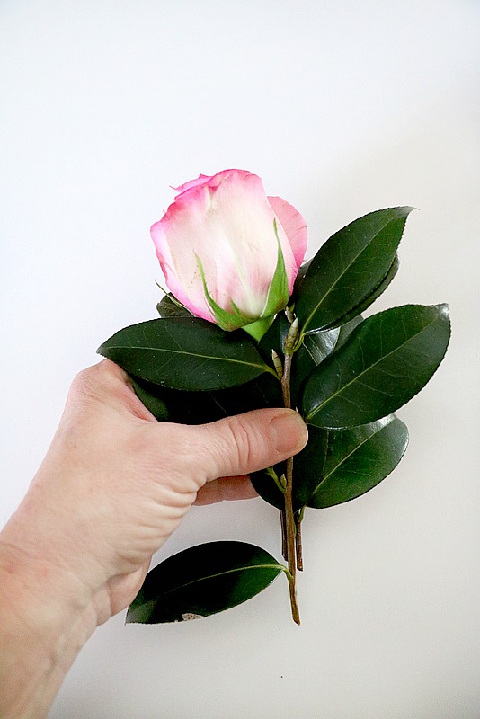 pink and white rose wrist corsage