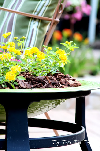 Getting the most out of your Gardening... Using Containers