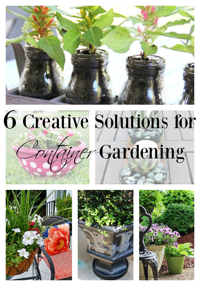 Getting the most out of your Gardening... Using Containers