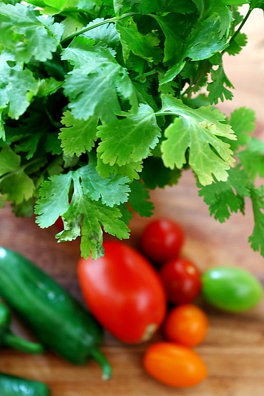 Perfect Party Dips for Cinco De Mayo