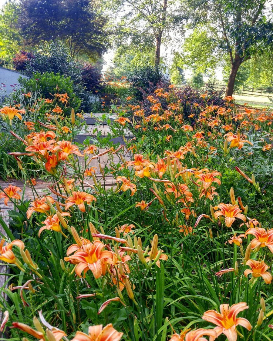 Summer Southern front porch at Duke Manor Farm