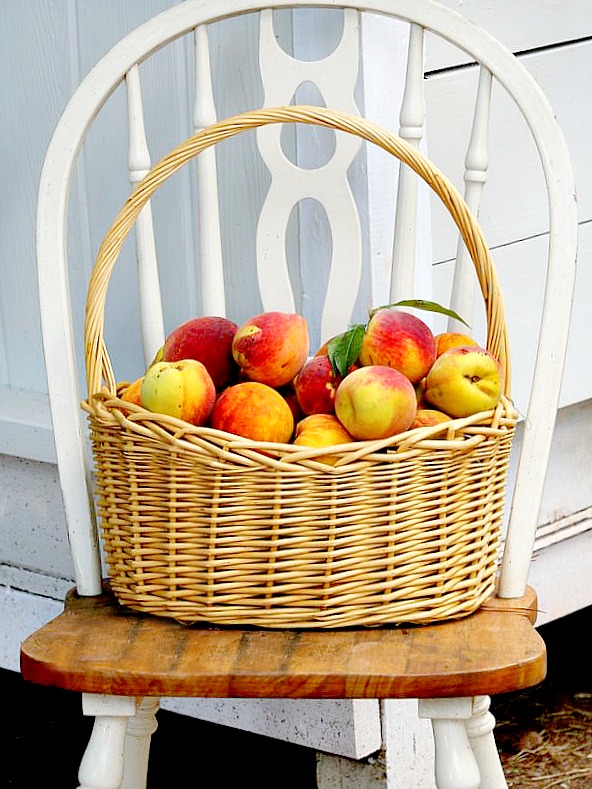 basket of peaches on a chair