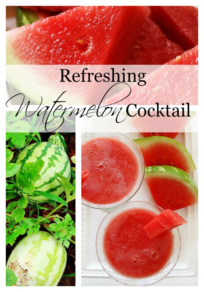 Watermelon Cocktail Recipe