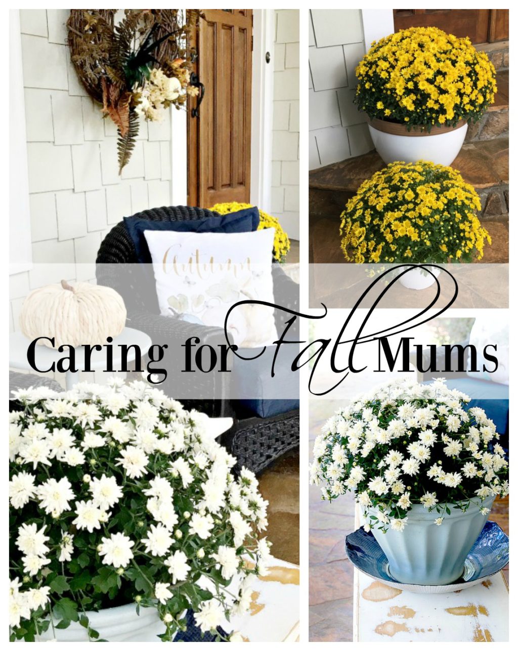 caring-for-mums