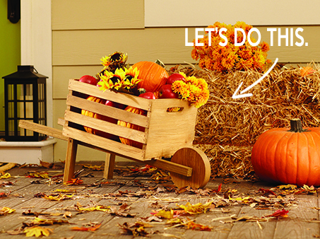 lets do this - Wheelbarrow - Fall decor