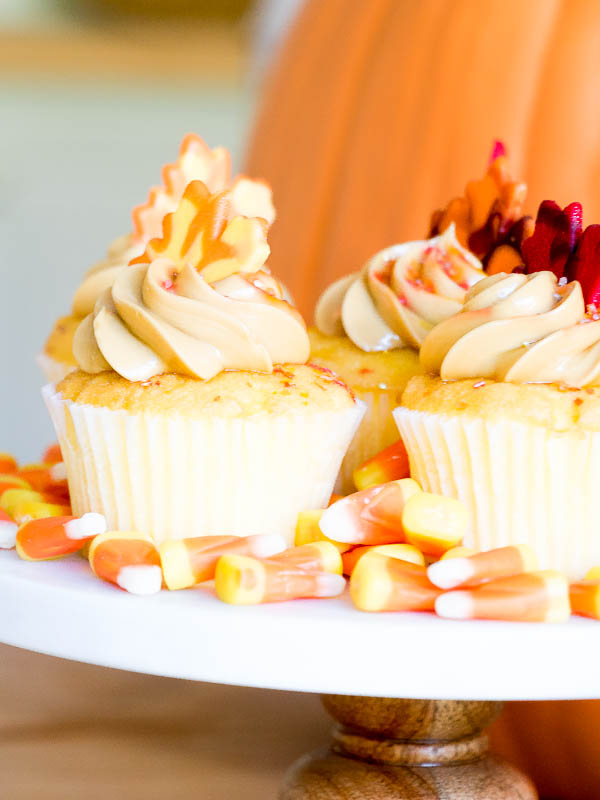 fall-cupcake