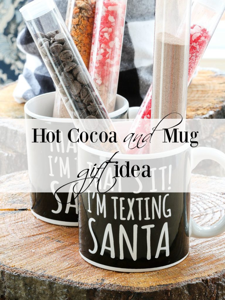 Hot Cocoa and Mug Gift Idea