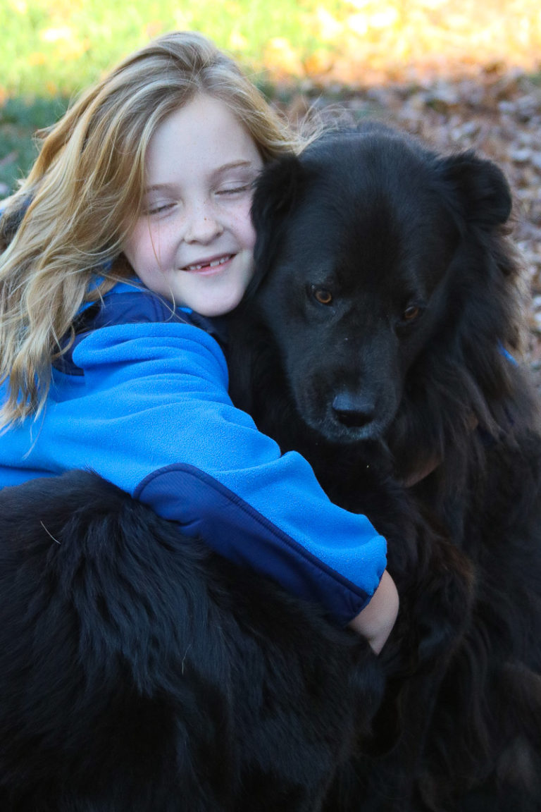 The Dogs of Duke Manor Farm