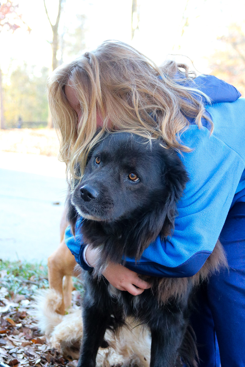 The Dogs of Duke Manor Farm