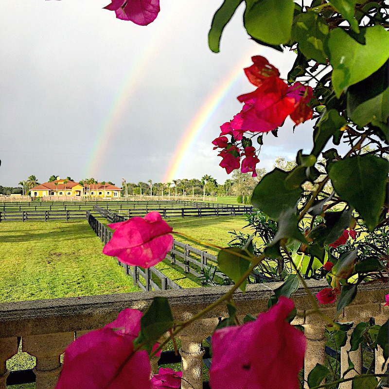 a Reflection of 2016 at Duke Manor Farm