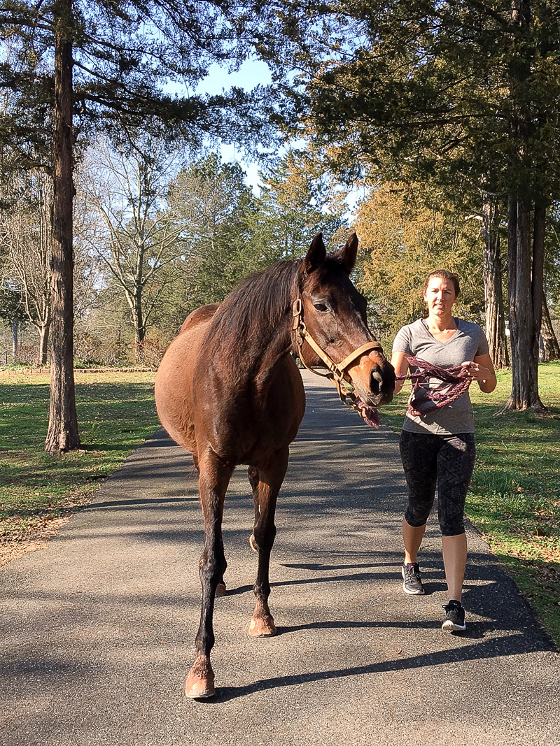 Friday at the Farm....A new Mare