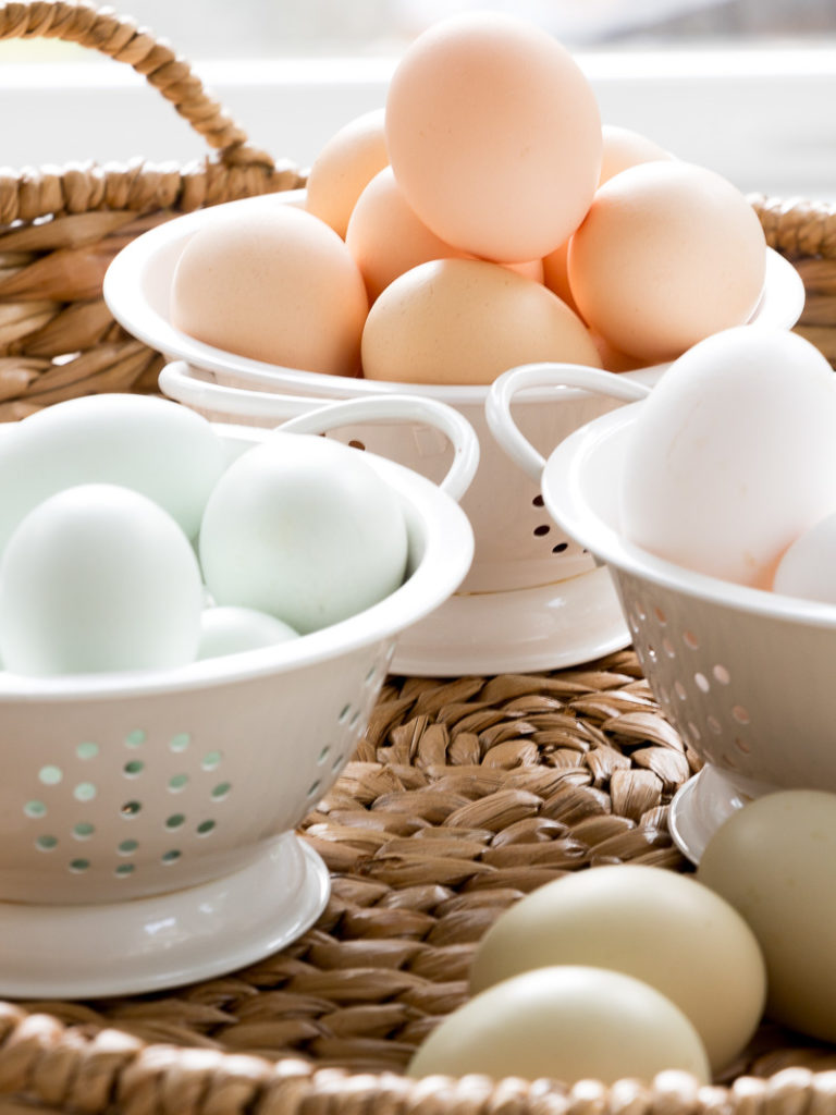 Friday at the Farm….why are my chickens eggs different colors