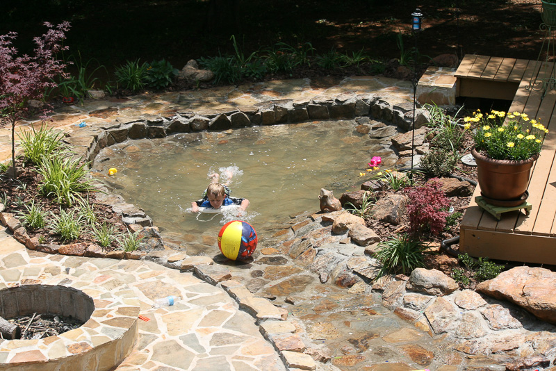 How to create a duck pond that every duck will love