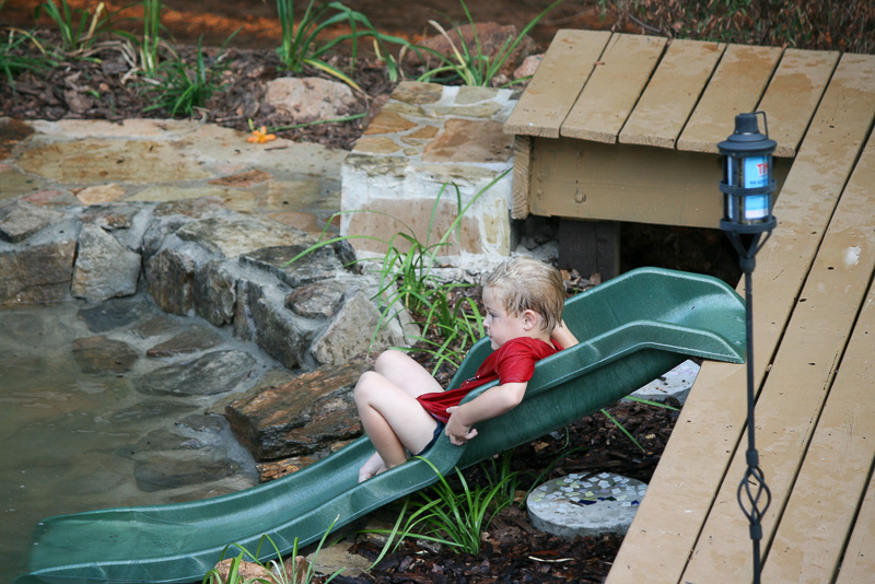 How to create a duck pond that every duck will love