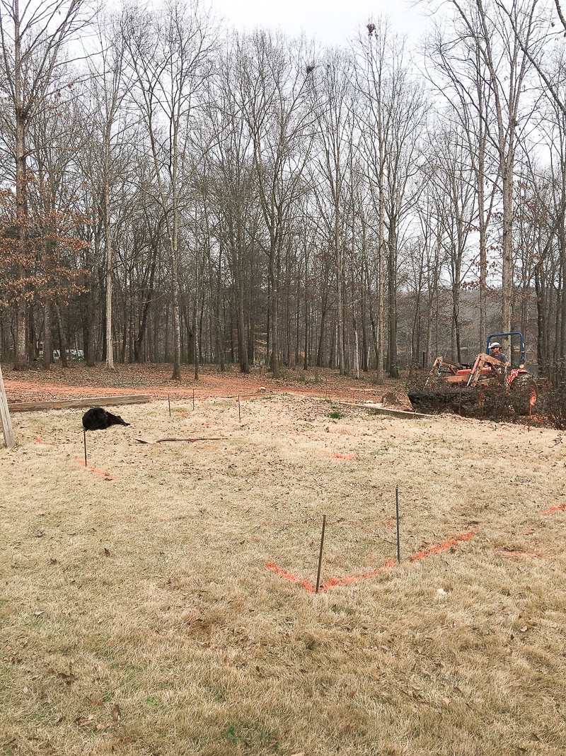 The Pool Build (During Construction)