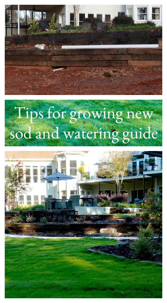 Watering Tips and Guidelines for New Sod