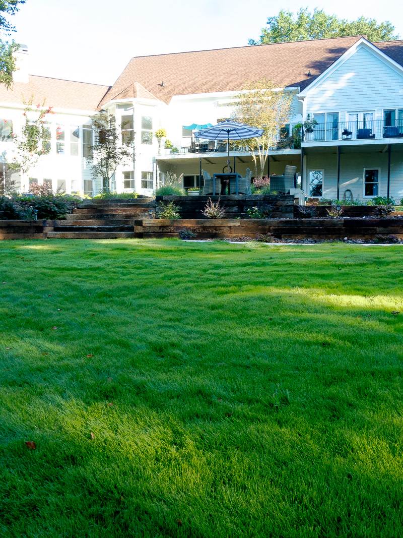 Watering Tips and Guidelines for New Sod