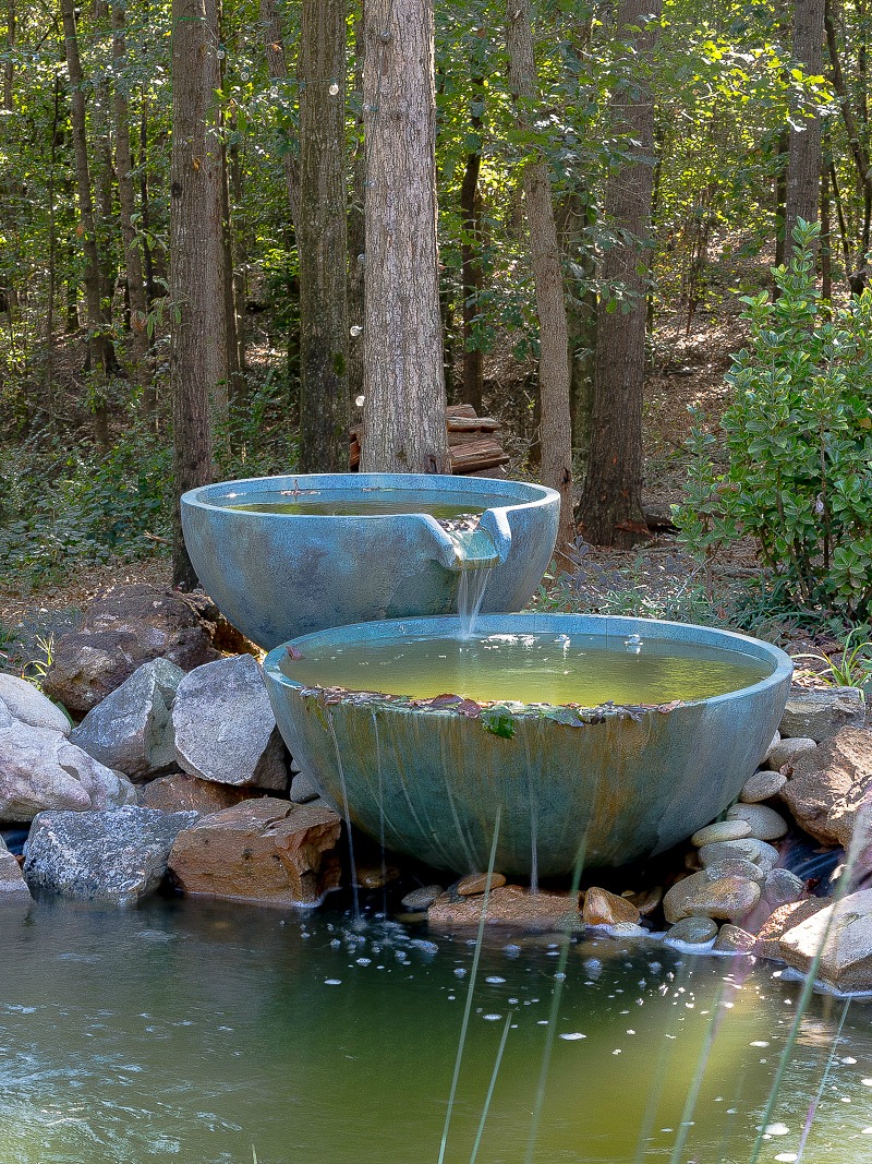 Backyard Pond and Eating Area