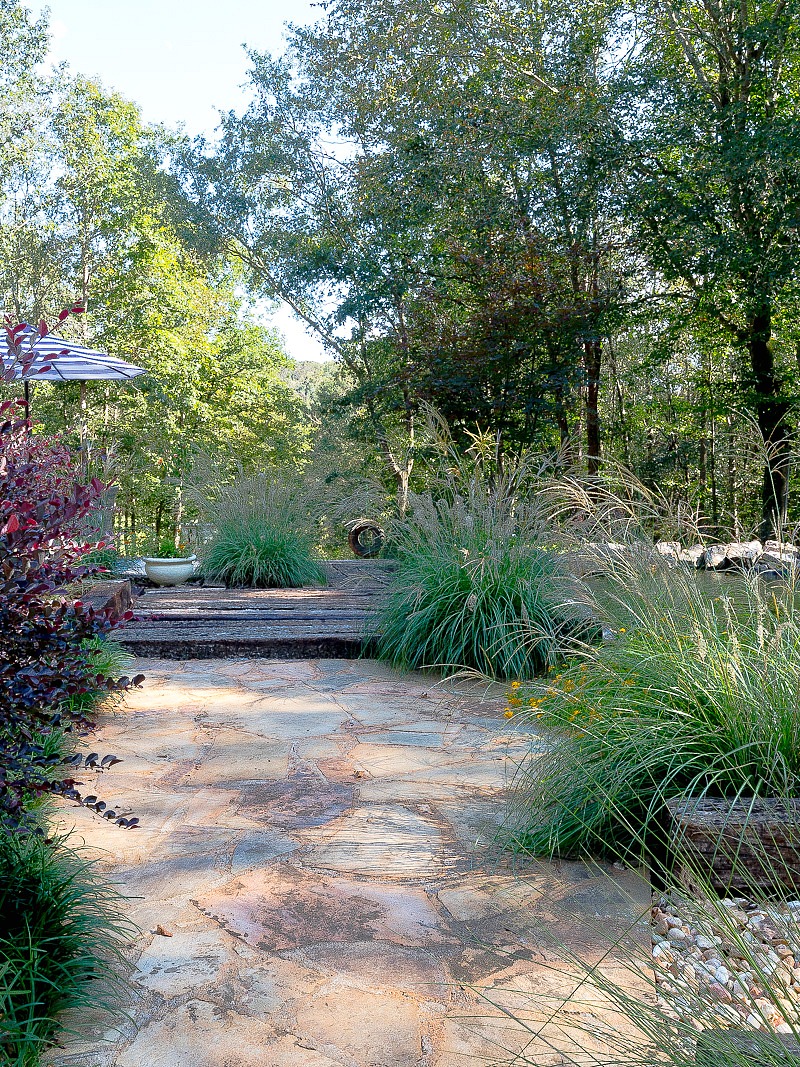 Backyard Pond and Eating Area