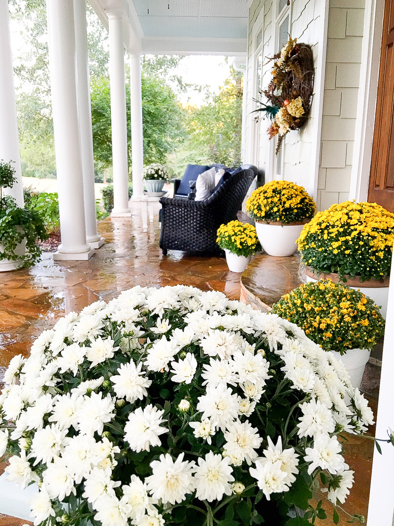 Ideas and Inspiration for your Fall Front Porch