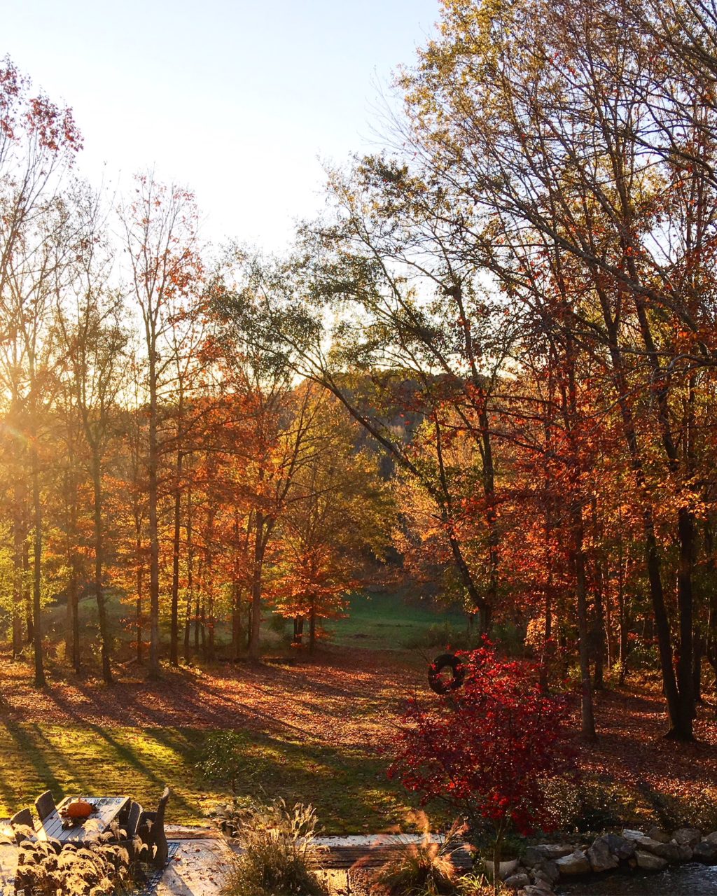 Fall color at Duke Manor Farm
