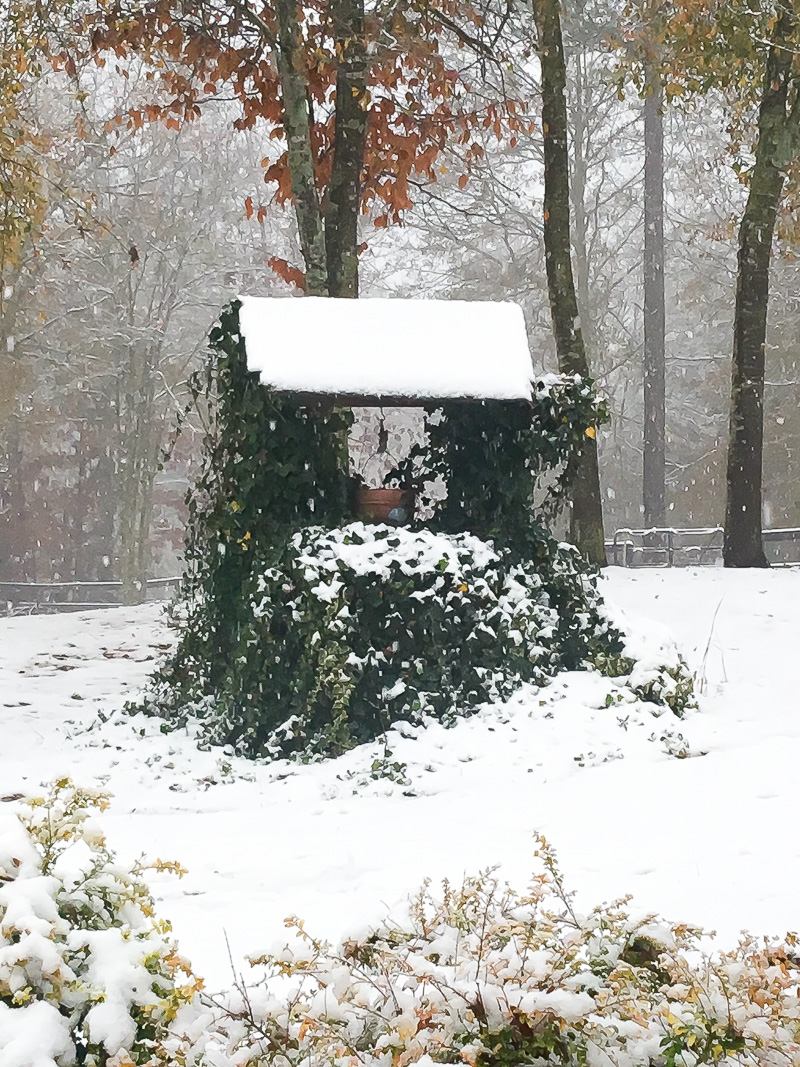 What snow in Georgia...in December looks like