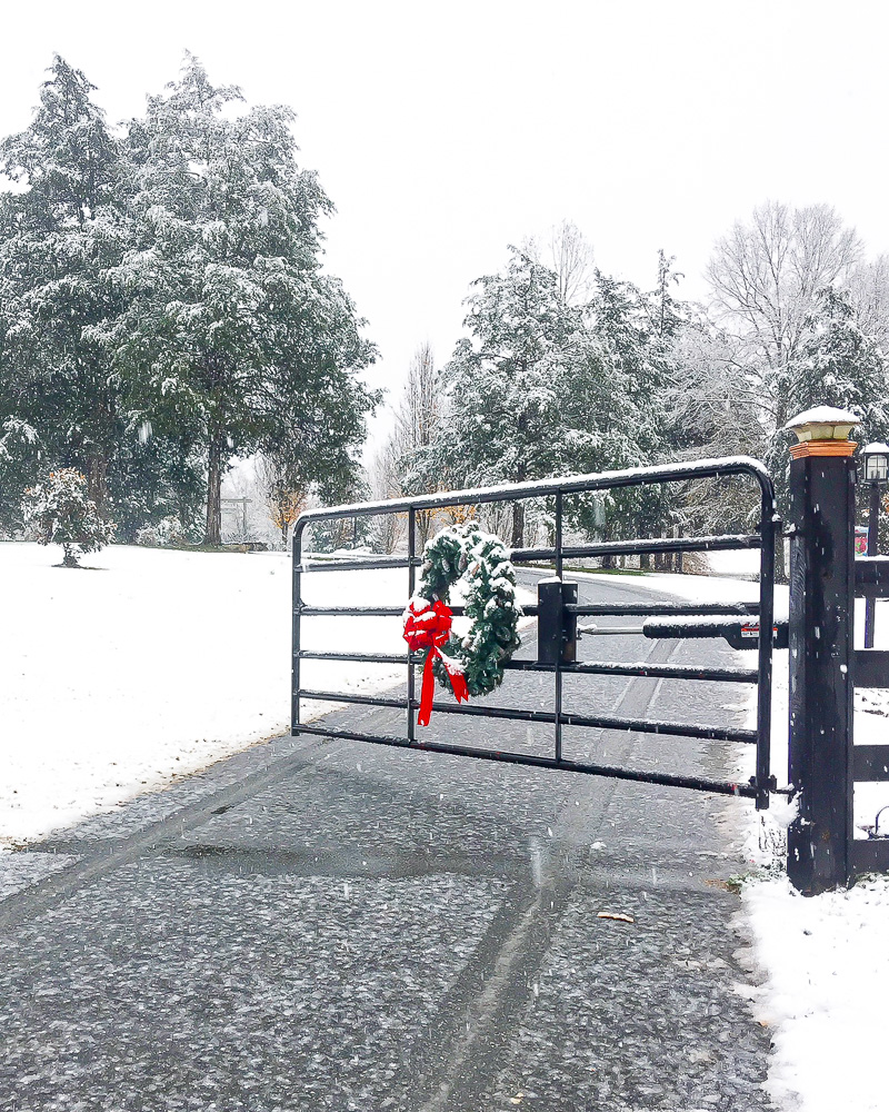 What snow in Georgia...in December looks like