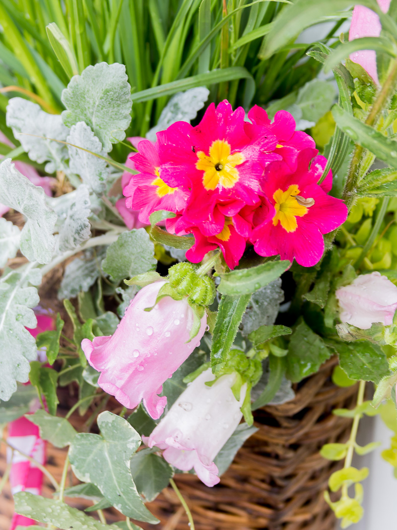 Hanging Spring basket using live plants and flowers