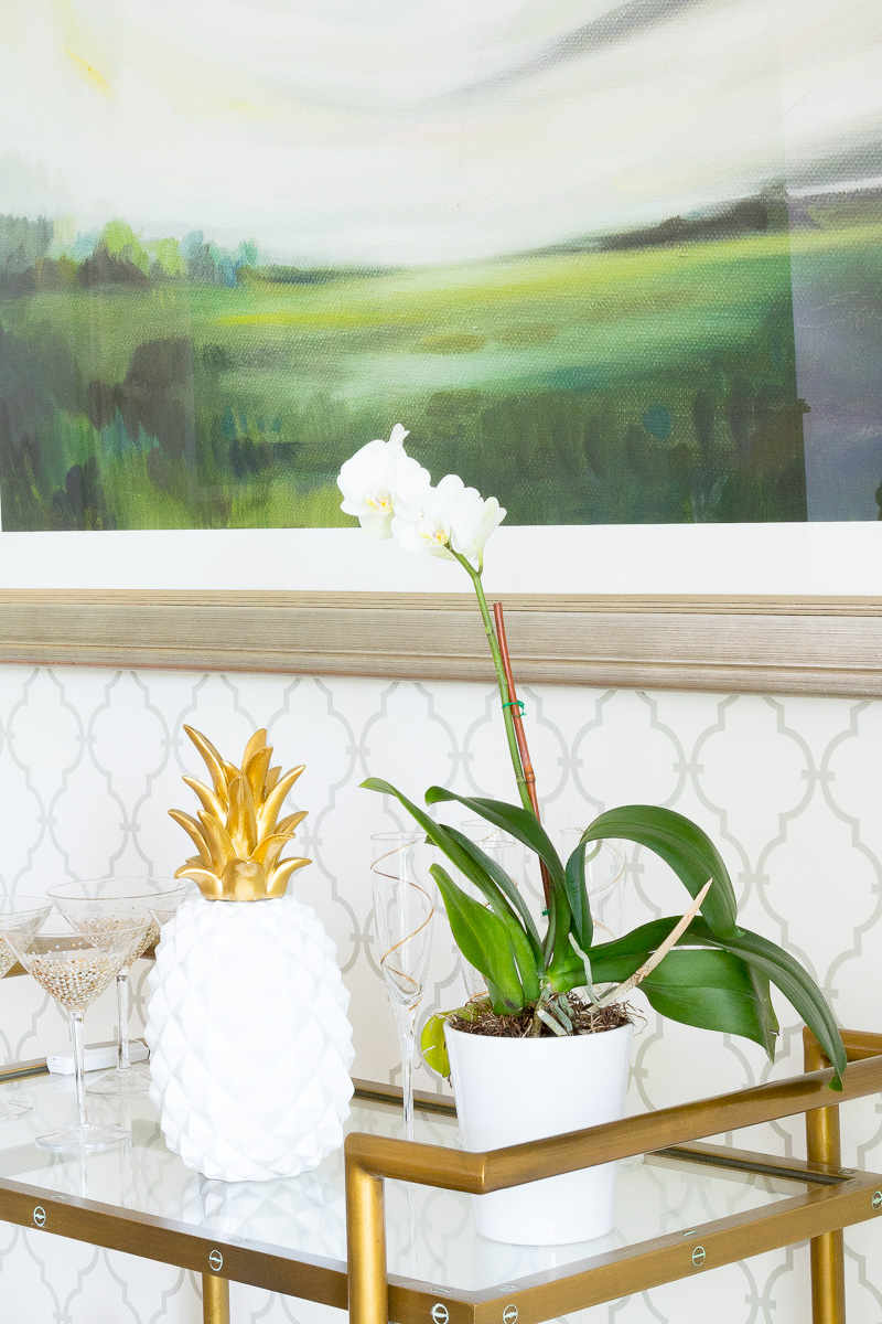 Houseplants that will instantly create a cozy home