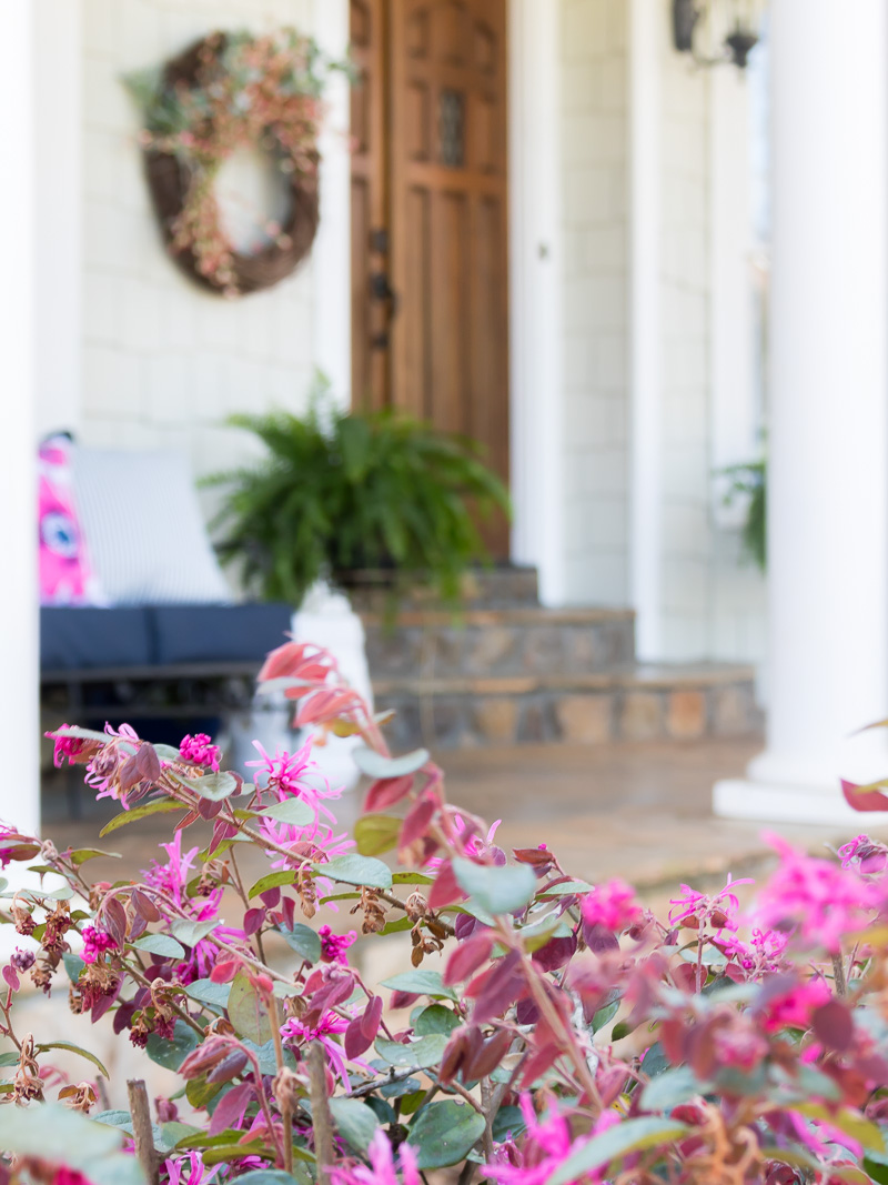 Spring Porches at Duke Manor Farm