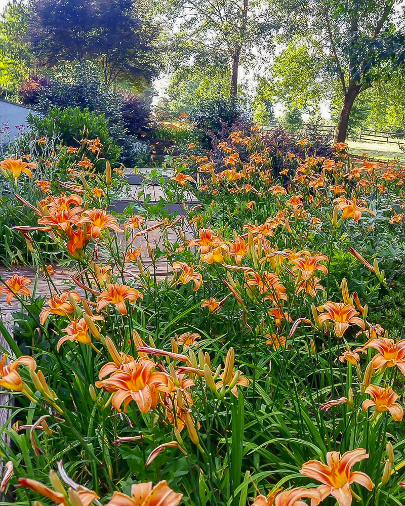 Simple tips to keep your blooms looking fresh longer